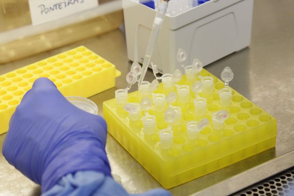 Cai para 11 o número de suspeitas de infecção por coronavírus no país