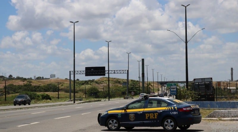 Filhotes de jabuti são resgatados pela