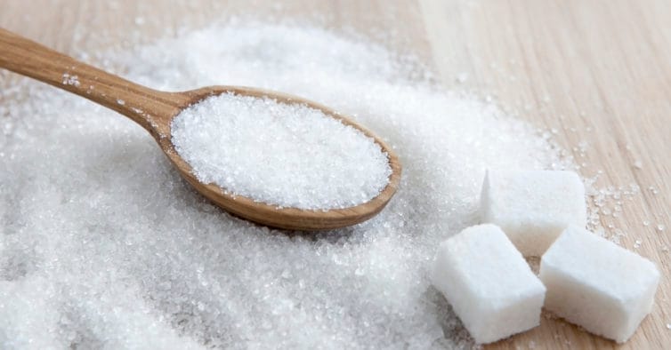 Governo define padrões de qualidade para água de coco processada 1 Governo define padrões de qualidade para água de coco processada