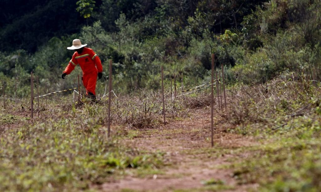 Mariana estudos mostram caminhos para recuperar solo com rejeitos