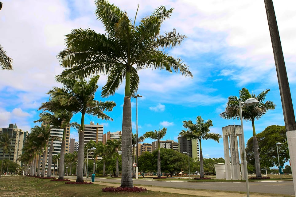 Polícia Civil irá investigar morte de gatos no Parque Augusto Franco