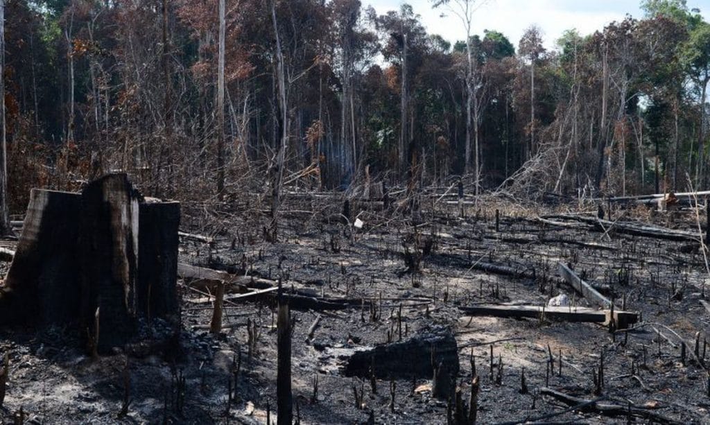 AGU cobra R 13 bilhão por desmatamento na Amazônia Legal