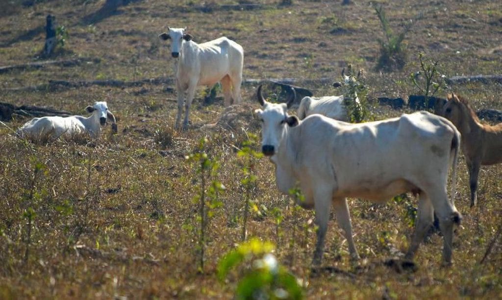 Sergipe registra aumento da seca moderada aponta ANA