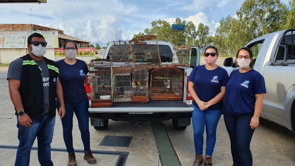 Após denúncias Adema resgata 21 aves em Indiaroba