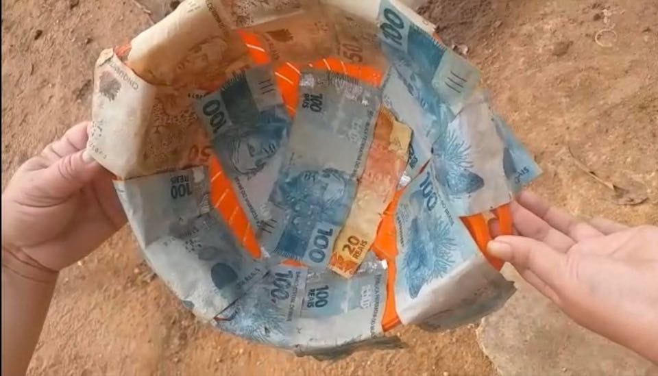 Boi é abatido após engolir R1.5 mil no Piauí