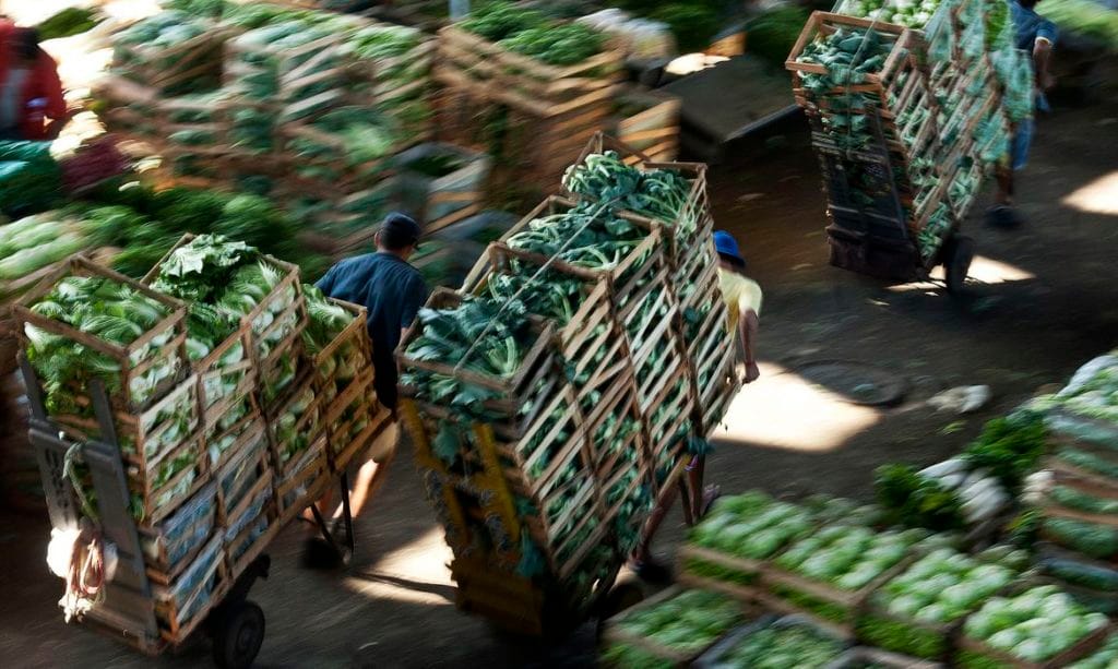 Conab reafirma que não há indícios de desabastecimento no país