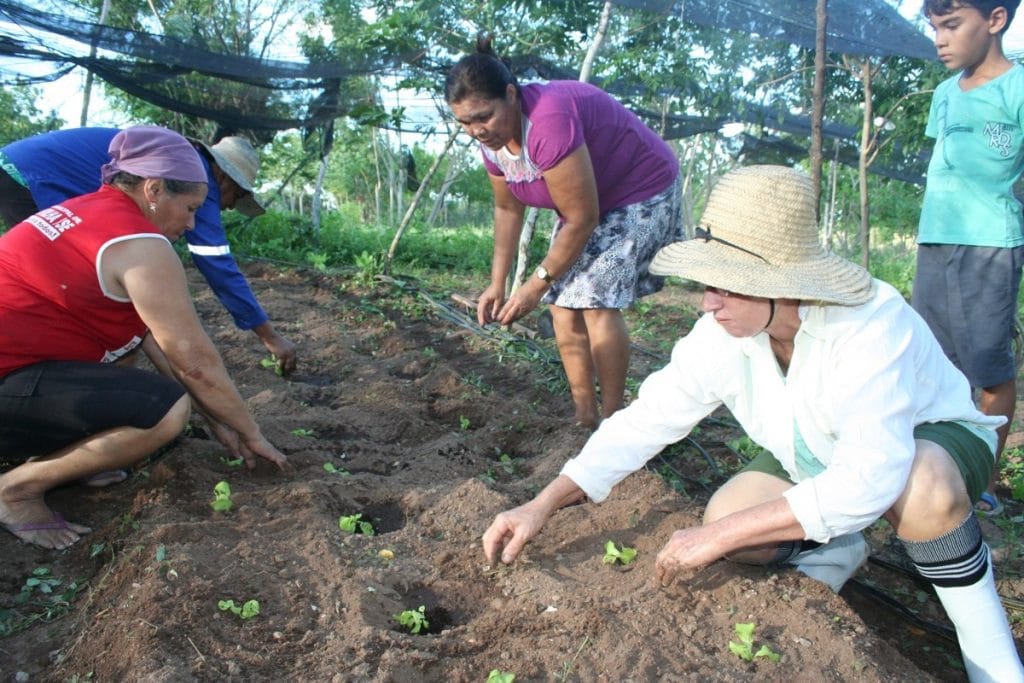 Covid 19 Via Banese governo debate linha de crédito emergencial para o agropecuário