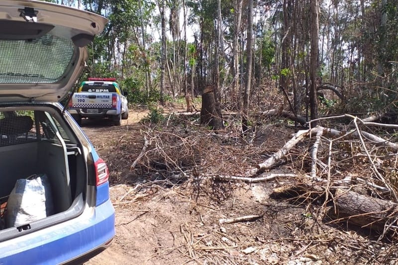Dois são presos após flagrante de desmatamento em Indiaroba