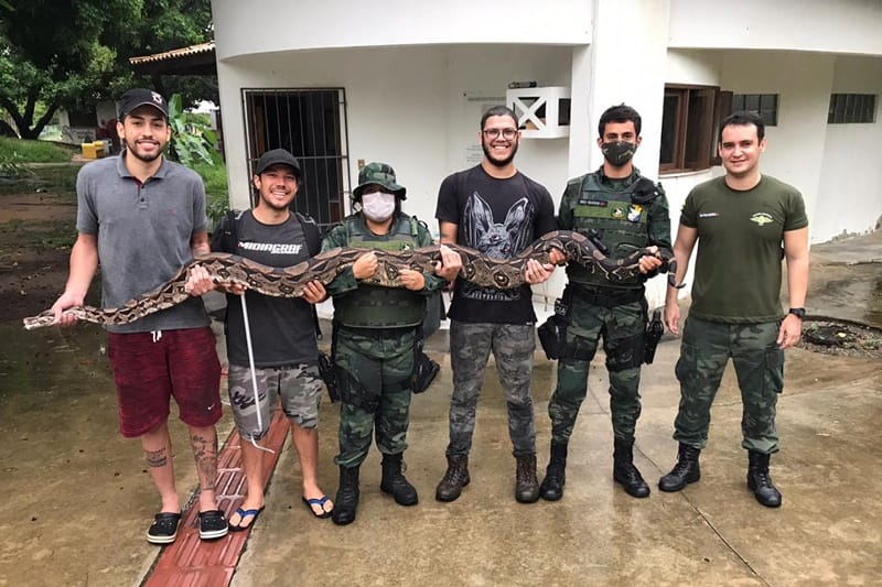 Jiboia de cerca de quatro metros é encontrada em ciclovia do Parque dos Cajueiros