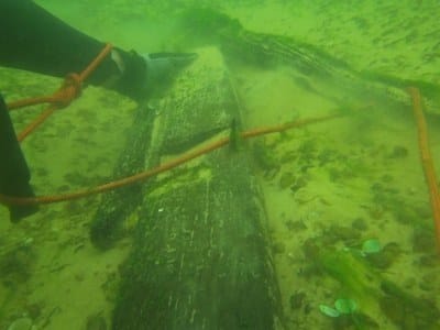 Justiça Federal condena Iphan a atualizar Cadastro Nacional de Sítios Arqueológicos