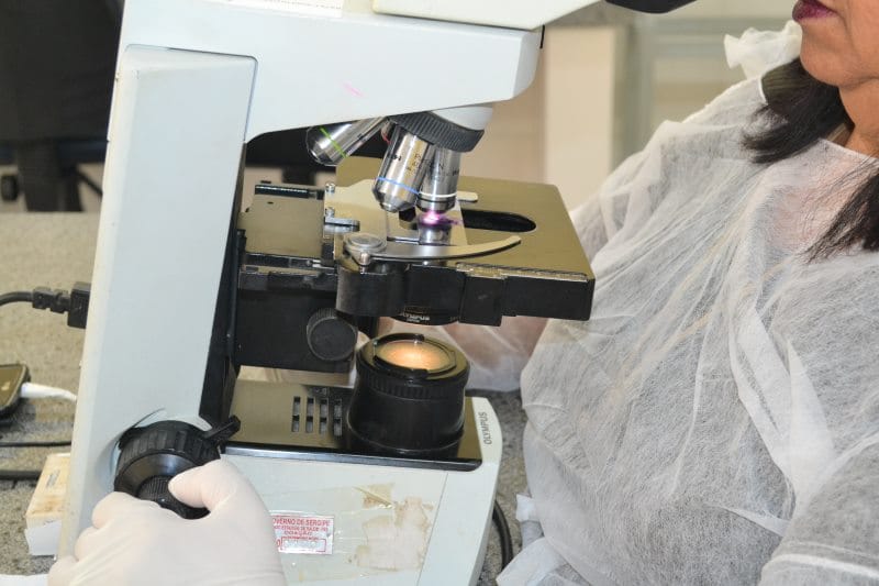 Laboratórios agropecuários poderão atuar no diagnóstico de covid-19 1 Laboratórios agropecuários poderão atuar no diagnóstico de covid 19