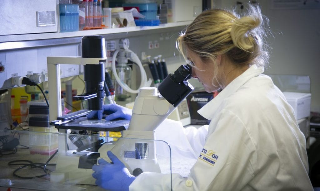 MEC autoriza antecipar formatura de alunos de medicina enfermagem farmácia e fisioterapia