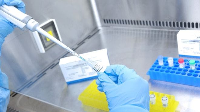 Covid 19 Governo anuncia plano de testes