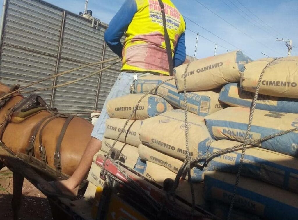 Deputada denuncia carroceiro que forçou animal a carregar 1 tonelada de cimento em Itabaiana