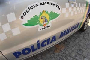 PM apreende 13 pássaros silvestres em cativeiro ilegal no Bugio