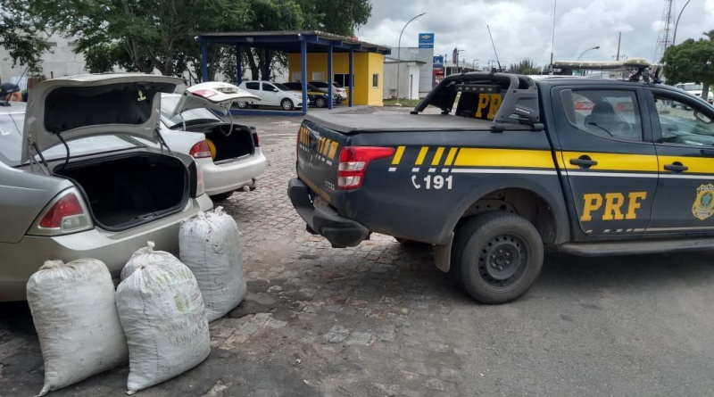 Polícia apreende 60 kgs de maconha em Frei Paulo