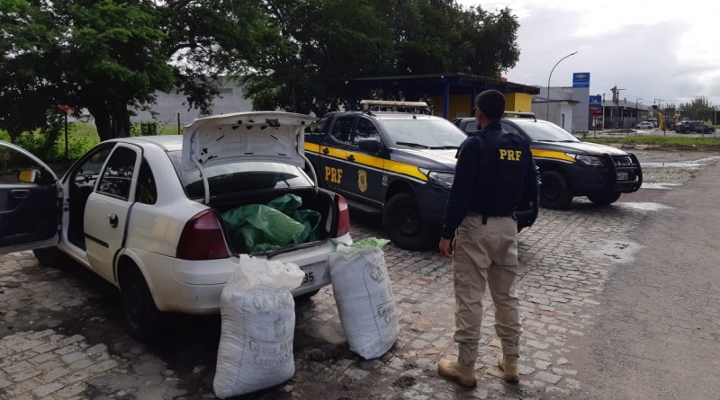Homem é preso enquanto transportava 40 kg de maconha no porta-malas de um carro em Itabaiana 1 Homem é preso enquanto transportava 40 kg de maconha no porta malas de um carro em Itabaiana