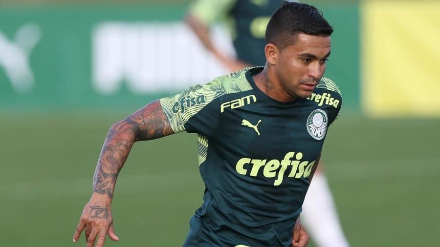 Jogador Dudu do Palmeiras é acusado de agressão pela ex mulher