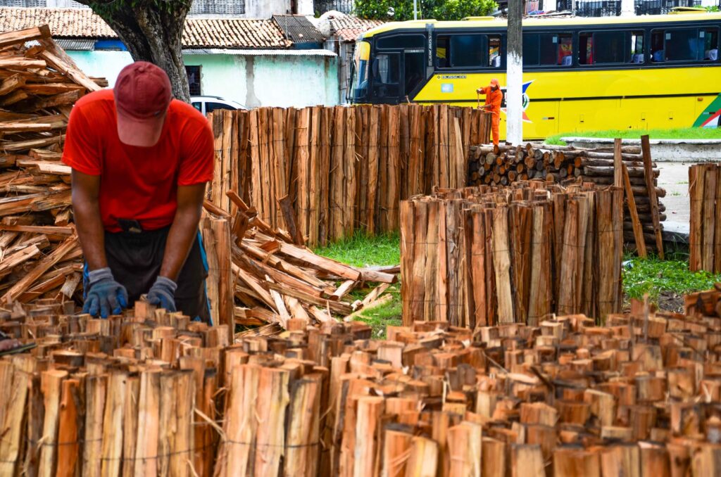 MP SE solicita informações sobre a expedição de alvarás para comércio de fogueiras e fogos de artifícios