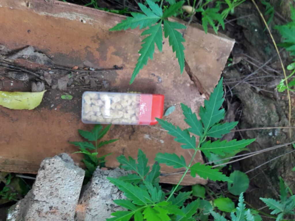 Polícia Civil prende suspeito por tráfico de drogas em Glória e1592133345942