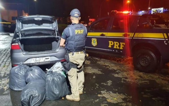Polícia Rodoviária Federal apreende 45 quilos de maconha em Itabaiana