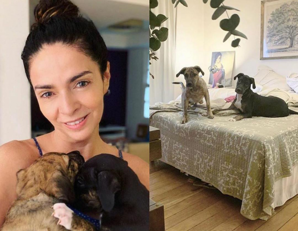 Claudia Ohana devolve cachorros após adoção e vira polêmica após ONG divulgar áudio ouça