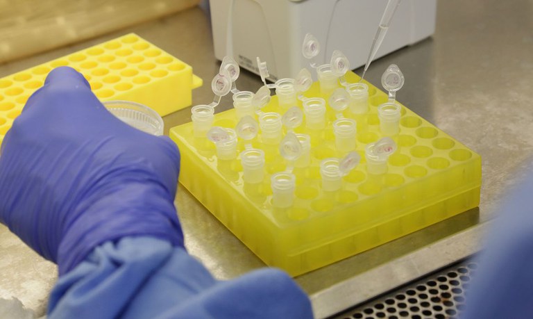 Covid 19 Vírus atual pode ser mais contagioso do que a encontra na China