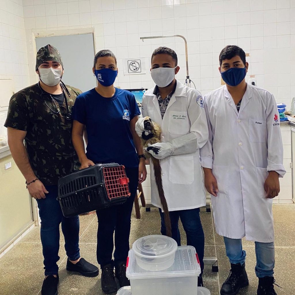 Cágado cobras pombas e macaco foram resgatados no Alto do Sertão Sergipano