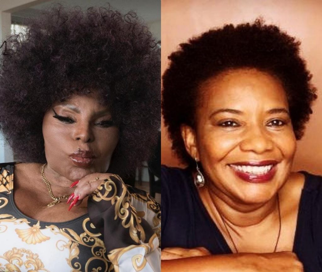Elza Soares Margareth Menezes Teresa Cristina Babado Novo confira as lives desta quinta