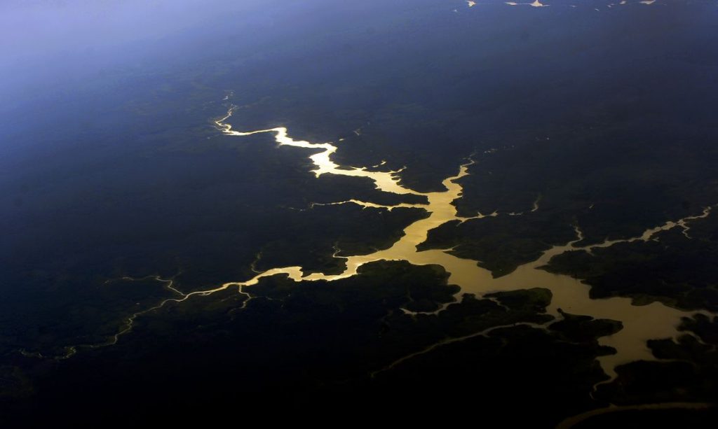 Governo destinará R 500 milhões para proteger mata nativa da Amazônia