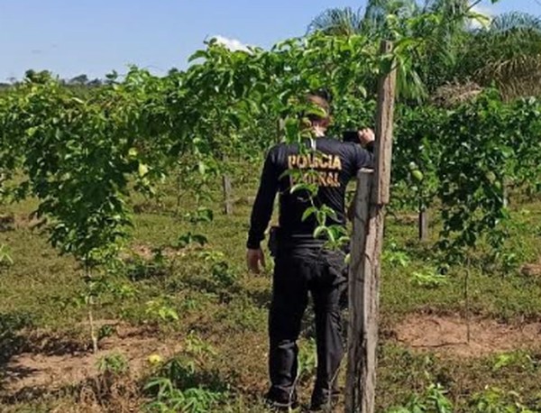 PF de Sergipe apura aliciamento de sergipanos para trabalhar em laranjais no interior de São Paulo