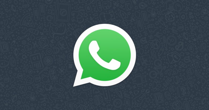 PJ de combate a fake news causa discussão sobre direito à privacidade no WhatsApp