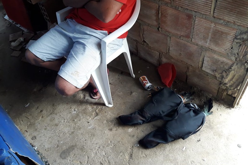Polícia fecha rinha de galo e autua quatro pessoas em Aracaju
