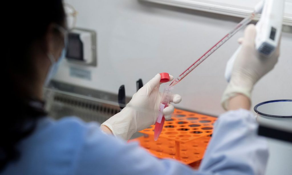 Vacina de Oxford é segura e gerou resposta imune contra covid 19
