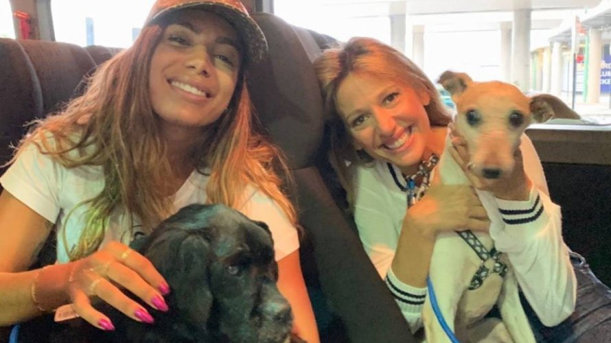 Anitta volta ao Brasil e adota caes cadeirante e cego veja video