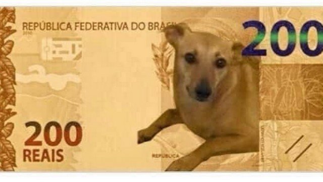 Banco Central estuda ação para vira lata caramelo após petição de nota de R 200
