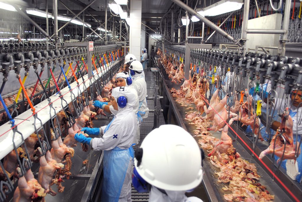 Filipinas proibem importacao de frango do Brasil por medo do coronavirus