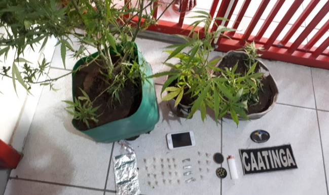 Homem é preso com drogas e pés de maconha em Canindé de São Francisco