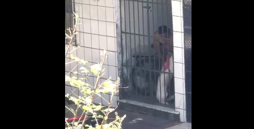 Imagens fortes Homem e preso apos agredir cachorro em Aracaju