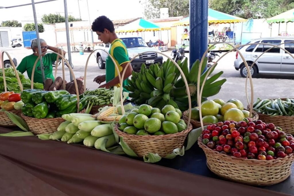 25 09 alimentos