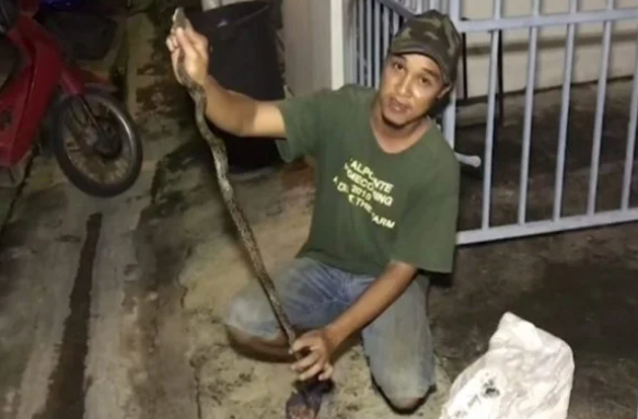Cobra pica orgao genital de jovem que usava banheiro Espero que meu penis se recupere