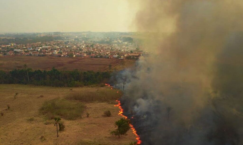 Em diligencia no Pantanal senadores dizem que cenario e devastador