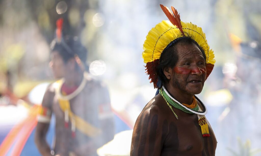 Governo pressiona por turismo em terras indigenas e coloca jabuti em plano contra covid 19 diz coluna