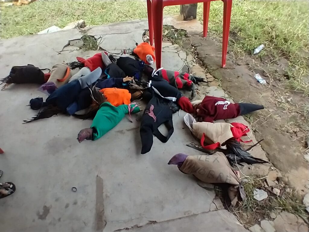 PM fecha rinha de galo e apreende 16 aves em Pirambu