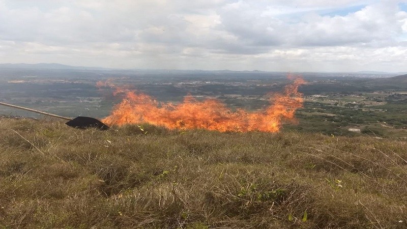 Sergipe e o segundo menor estado com registros de incendios no Brasil aponta levantamento