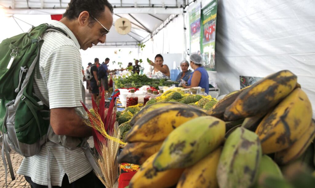 Por conta do feriado, feira live de Lagarto é adiada de 12 para 13 de outubro