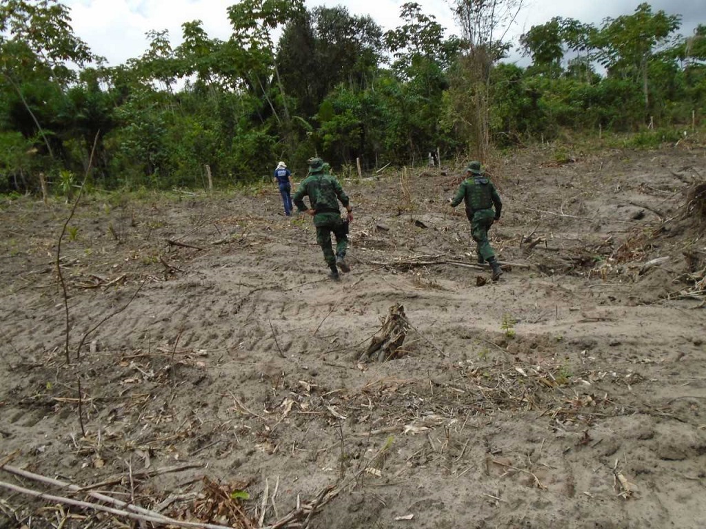 Apos flagra de desmatamento dono de imovel sera multado em R 50 mil em Santa Luzia do Itanhy