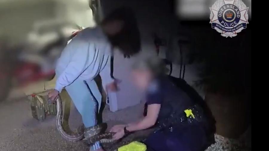 Mulher acaricia cobra piton de dois metros enquanto policial remove animal de sua perna veja video