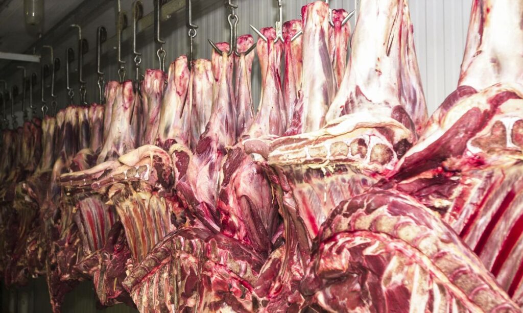 Preço-da-carne-de-porco-registra-aumento-de-até-50%-pelo-Brasil-diz-site
