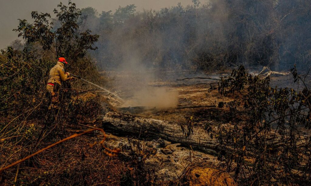 Um mes apos assumir cargo chefe do centro de combate a incendios do Ibama pede exoneracao